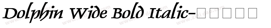 Dolphin Wide Bold Italic字体转换